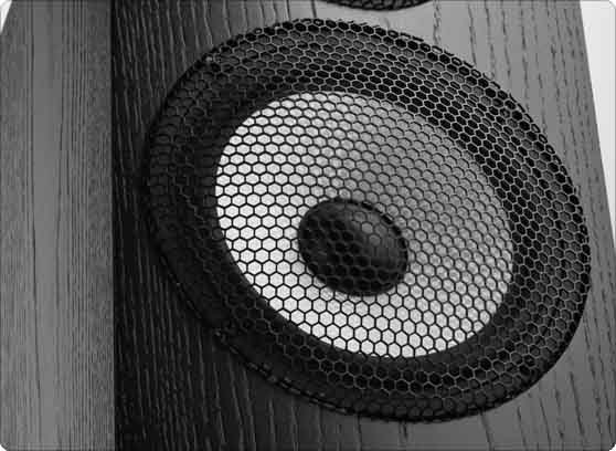 Pylon Audio Ruby 30 - cecha 2